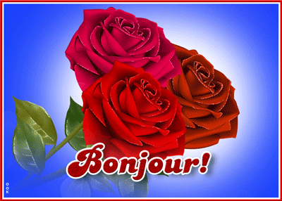 🔥 Bonjour Gif Animé | Bonjour 2025 | Bonjour GIF bonjour GIF avec belle rose rouge