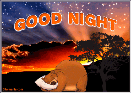 Beautiful Good Night Gif