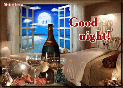 Beautiful Good Night Gif