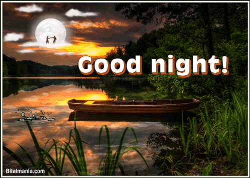 Beautiful Good Night Gif
