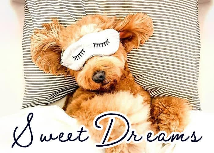 Beautiful Good Night Images