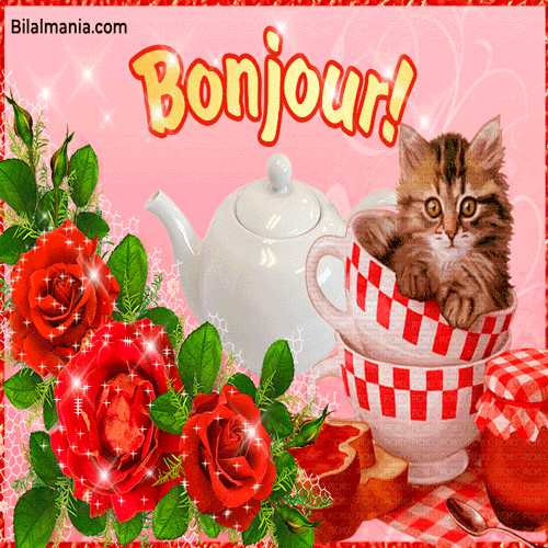 🔥 Bonjour Gif Animé | Bonjour 2025 | Bonjour GIF bonjour chat mignon GIF