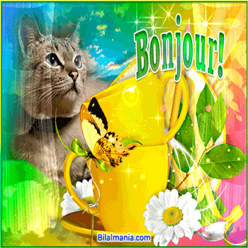 🔥 Bonjour Gif Animé | Bonjour 2025 | Bonjour GIF bonjour gif animé