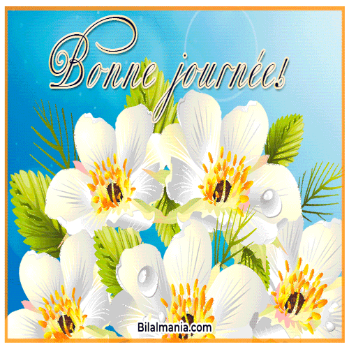 🔥 Bonjour Gif Animé | Bonjour 2025 | Bonjour GIF bonjour fleurs gif