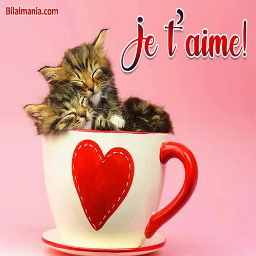 image je t'aime
