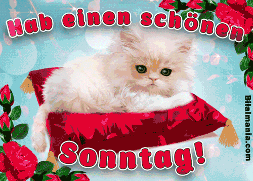 Whatsapp Schönen Sonntag Gif