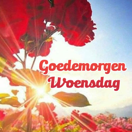 Goedemorgen Woensdag