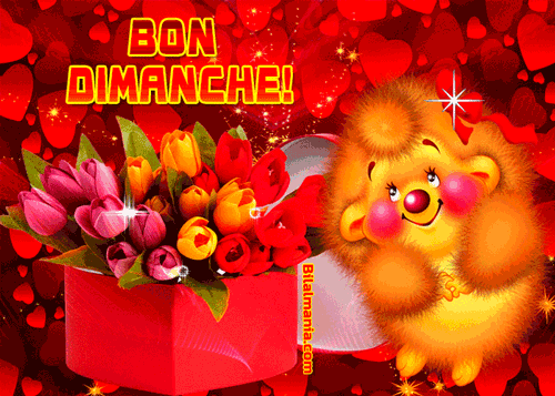 ᐅ Bonjour Bon Dimanche Gif Image Gif Bon Dimanche Romantique