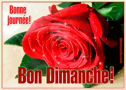 ᐅ Bonjour Bon Dimanche Gif Image Gif Bon Dimanche Romantique