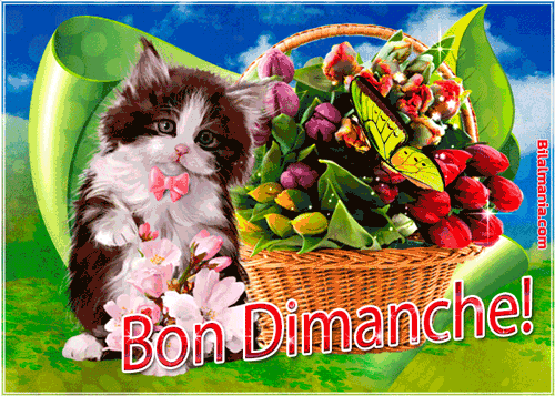 ᐅ Bonjour Bon Dimanche Gif Image Gif Bon Dimanche