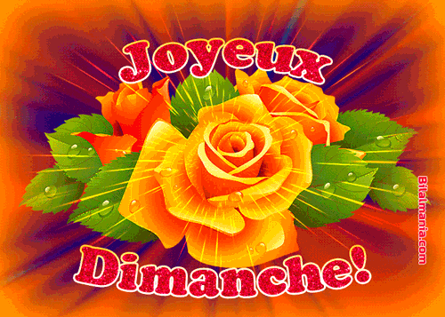 ᐅ Bonjour Bon Dimanche Gif Image Bon Dimanche Gif