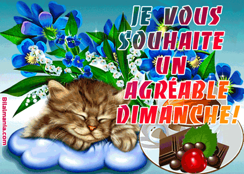 ᐅ Bonjour Bon Dimanche Gif Image Gif Bon Dimanche Gratuit