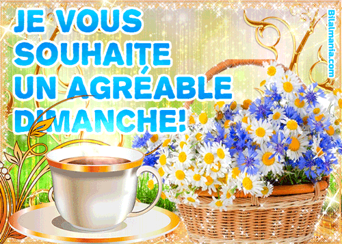 ᐅ Bonjour Bon Dimanche Gif Image Bon Dimanche Gif Scintillant