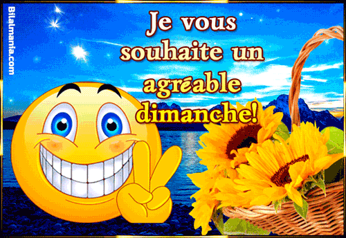 ᐅ Bonjour Bon Dimanche Gif Image Gif Bon Dimanche Humour