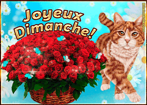 ᐅ Bonjour Bon Dimanche Gif Image Bon Dimanche Gif Scintillant
