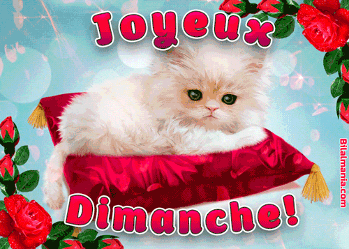 ᐅ Bonjour Bon Dimanche Gif Image Bon Dimanche Gif Animé
