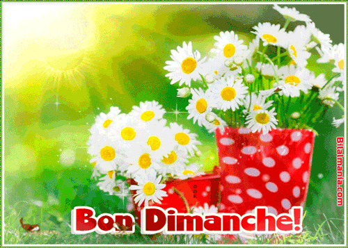 ᐅ Bonjour Bon Dimanche Gif Image Bon Dimanche Gif