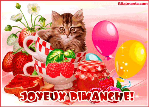ᐅ Bonjour Bon Dimanche Gif Image Images Gif Bon Dimanche