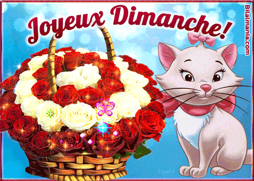 ᐅ Bonjour Bon Dimanche Gif Image Gif Bon Dimanche