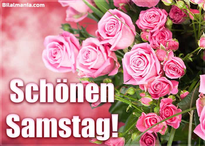 ᐅ 50+ Guten Morgen Samstag Gif Bilder Whatsapp Schönen Sonntag Bilder