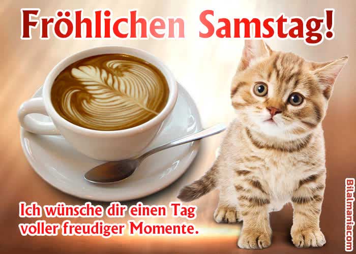 ᐅ 50+ Guten Morgen Samstag Gif Bilder Schönen Samstag Bilder