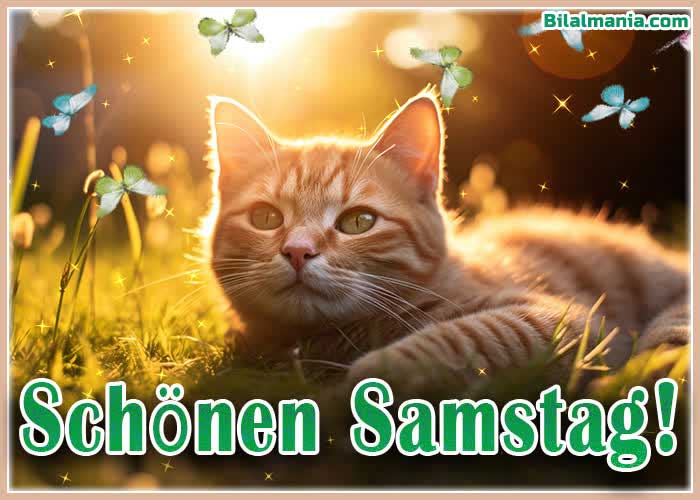 ᐅ 50+ Guten Morgen Samstag Gif Bilder Schönen Samstag Bilder