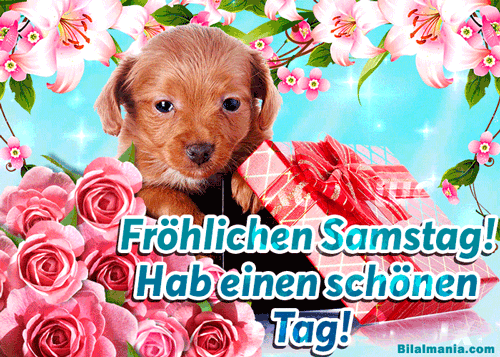 ᐅ 50+ Guten Morgen Samstag Gif Bilder Schönen Samstag Gif Kostenlos: hab einen Schönen tag!