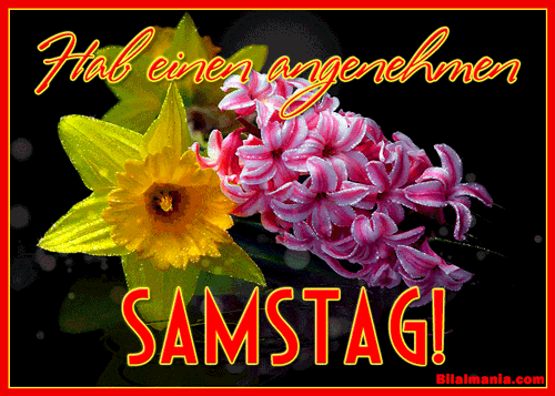 ᐅ 50+ Guten Morgen Samstag Gif Bilder Schönen Samstag Gif Kostenlos