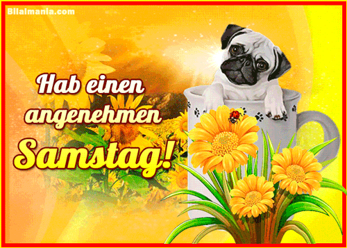 ᐅ 50+ Guten Morgen Samstag Gif Bilder Schönen Samstag Gif Kostenlos