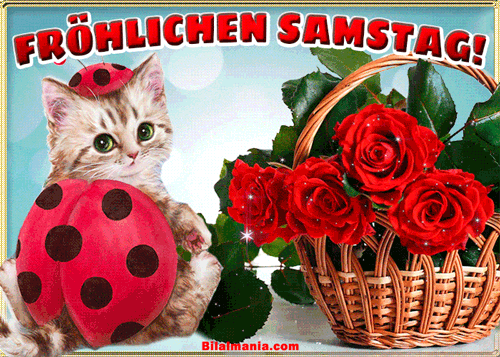 ᐅ 50+ Guten Morgen Samstag Gif Bilder Guten Morgen Samstag Gif