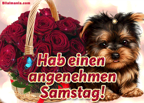 ᐅ 50+ Guten Morgen Samstag Gif Bilder Schönen Samstag Gif Kostenlos: hab einen angenehmen samstag!