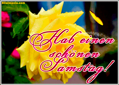 ᐅ 50+ Guten Morgen Samstag Gif Bilder Schönen Samstag Gif Kostenlos: hab einen Schönen Samstag