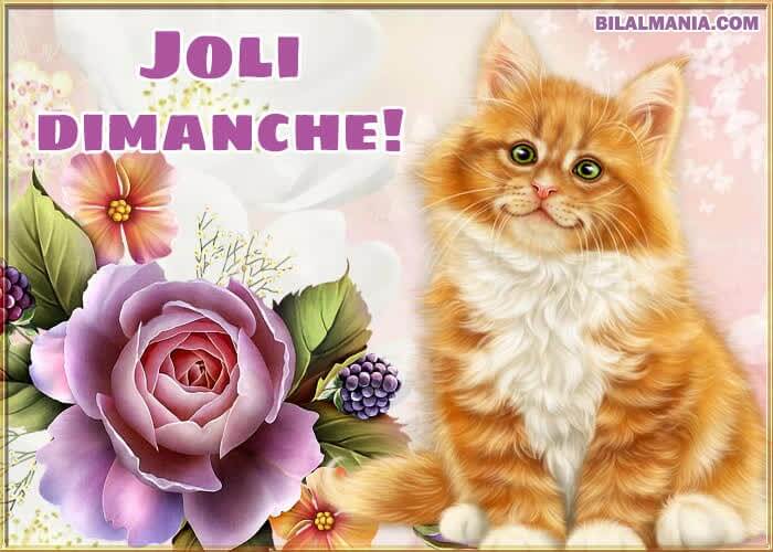 ᐅ Bonjour Bon Dimanche Gif Image Bon Dimanche Image
