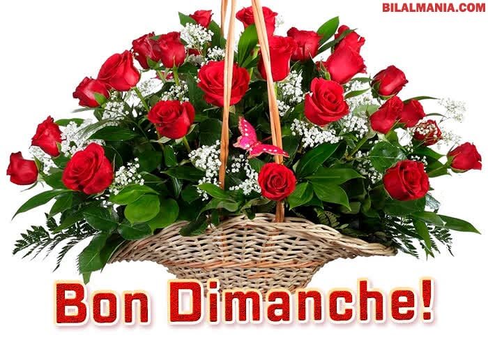 ᐅ Bonjour Bon Dimanche Gif Image Image Bon Dimanche Fleurs