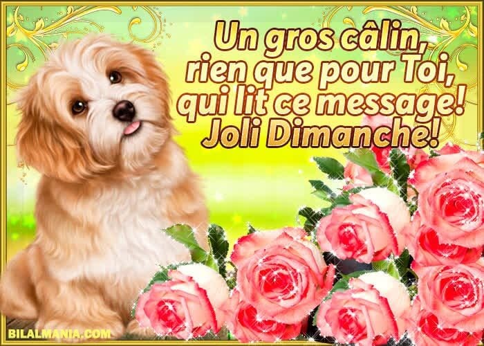 ᐅ Bonjour Bon Dimanche Gif Image Bon dimanche Image