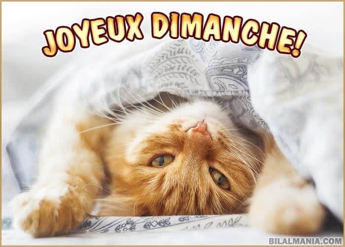 ᐅ Bonjour Bon Dimanche Gif Image Bonjour Bon Dimanche