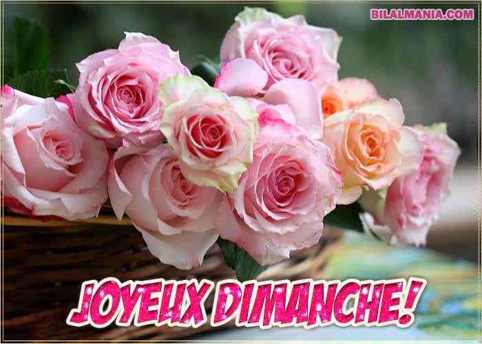 ᐅ Bonjour Bon Dimanche Gif Image Image Bon Dimanche Fleurs