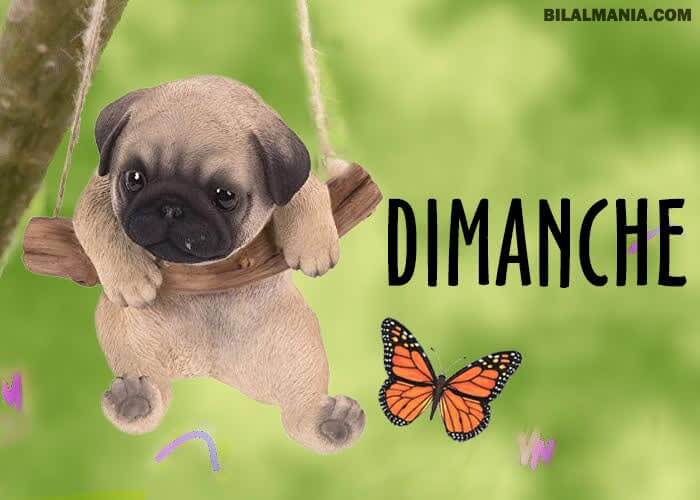 ᐅ Bonjour Bon Dimanche Gif Image Bonjour Bon Dimanche