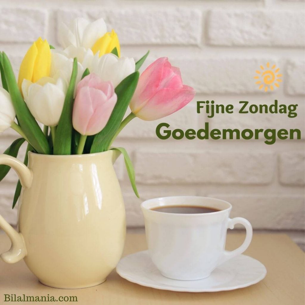 Goedemorgen Fijne Zondag Bloemen