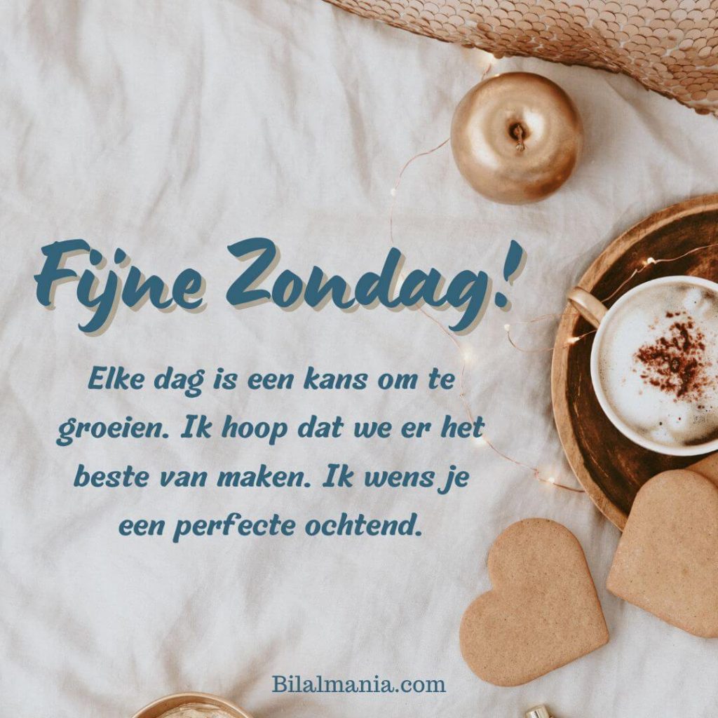 Elke dag is een kans om te groeien. Ik hoop dat we er het beste van maken Ik wens je een perfecte ochtend
