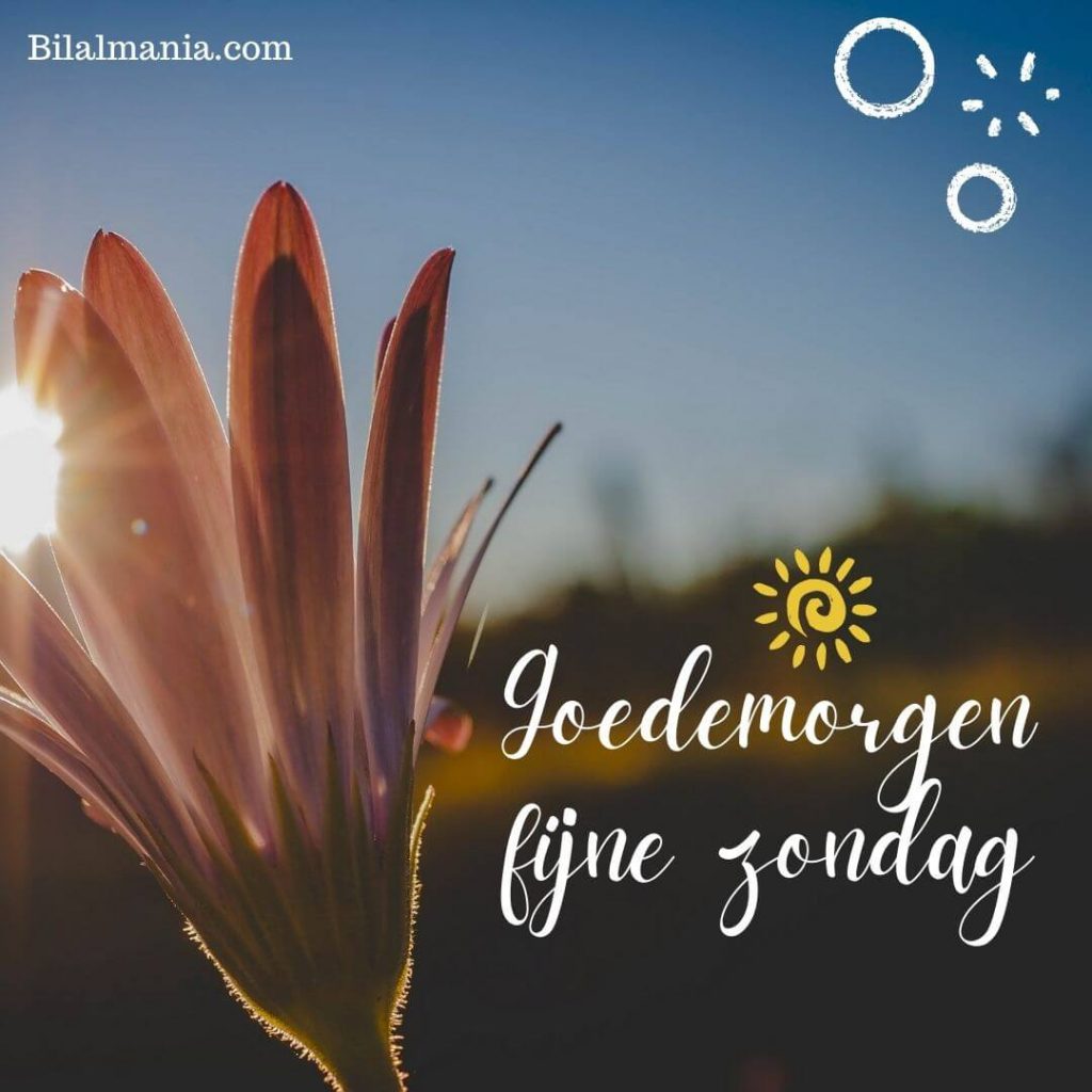 Goedemorgen Gezegend Zondag