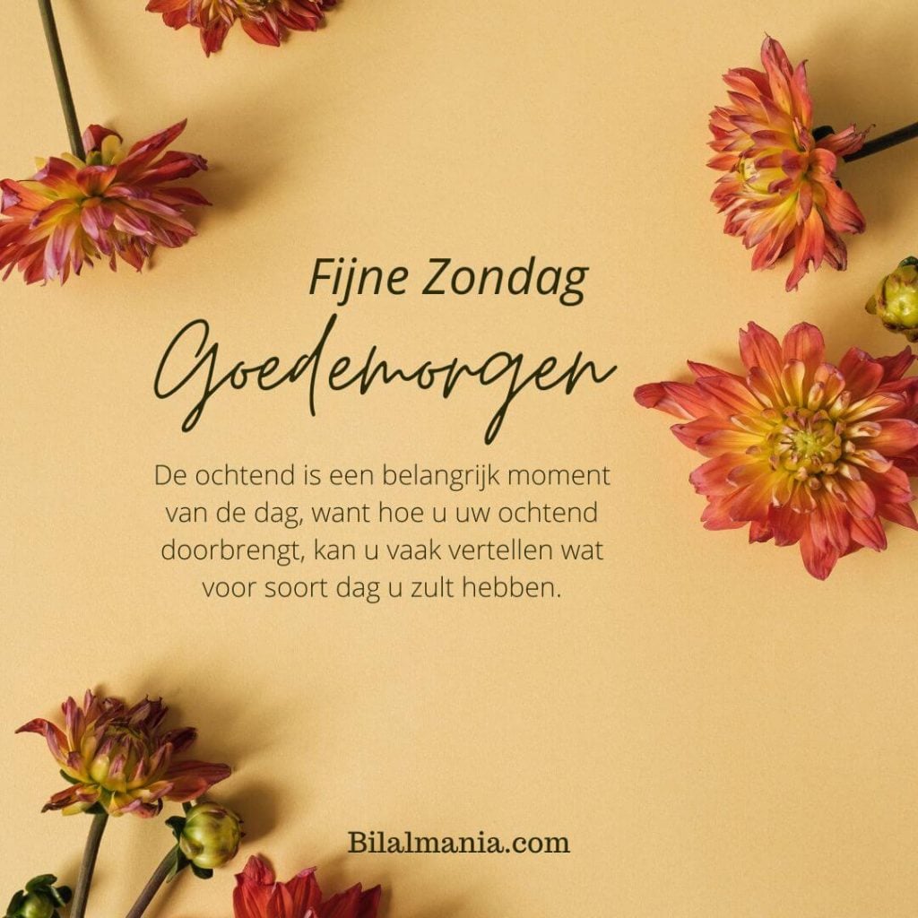 Goedemorgen Fijne Zondag Bloemen
