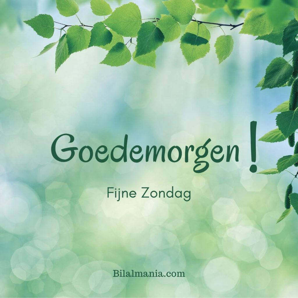 Goedemorgen Gezegend Zondag