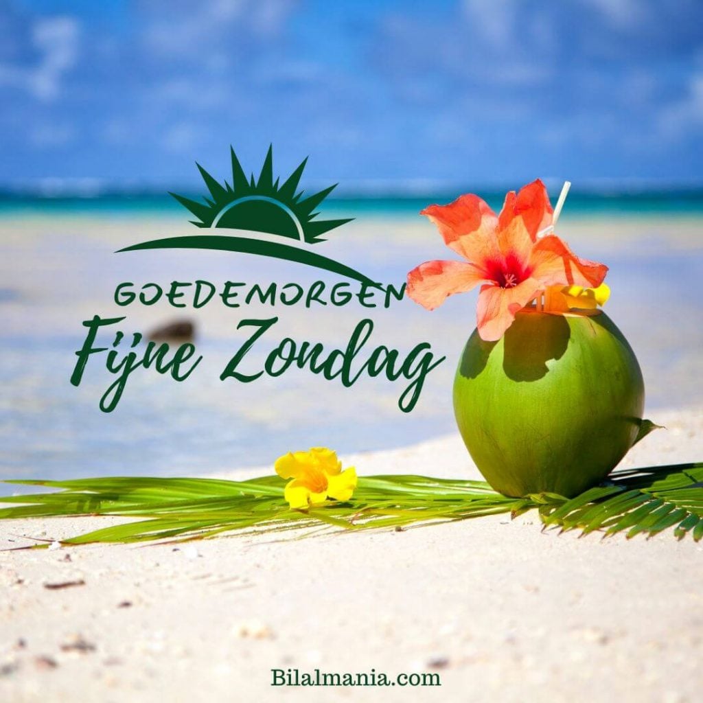Goedemorgen Fijne Zondag