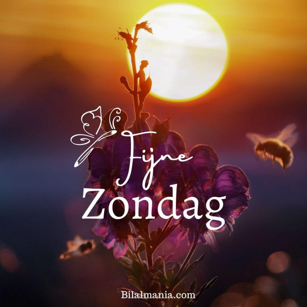 Goedemorgen Zondag afbeeldingen