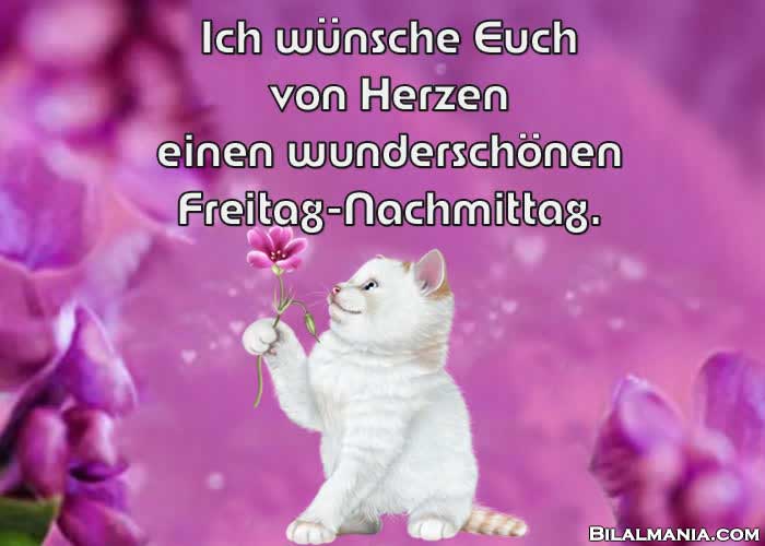 🔥 50+ Schönen Freitag Gif Bilder Guten Morgen Freitag Bilder