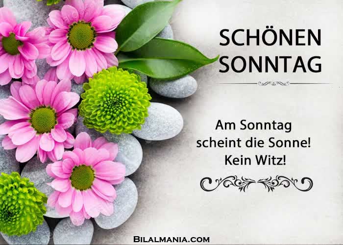 🔥 50+ Schönen Freitag Gif Bilder Schönen Freitag Bilder