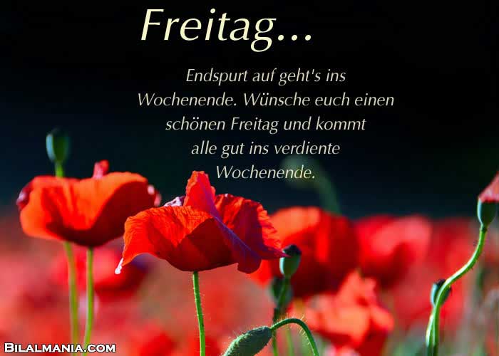🔥 50+ Schönen Freitag Gif Bilder Schönen Freitag Bilder Kostenlos