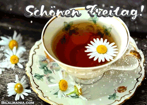 🔥 50+ Schönen Freitag Gif Bilder Schönen Freitag Gif Kostenlos