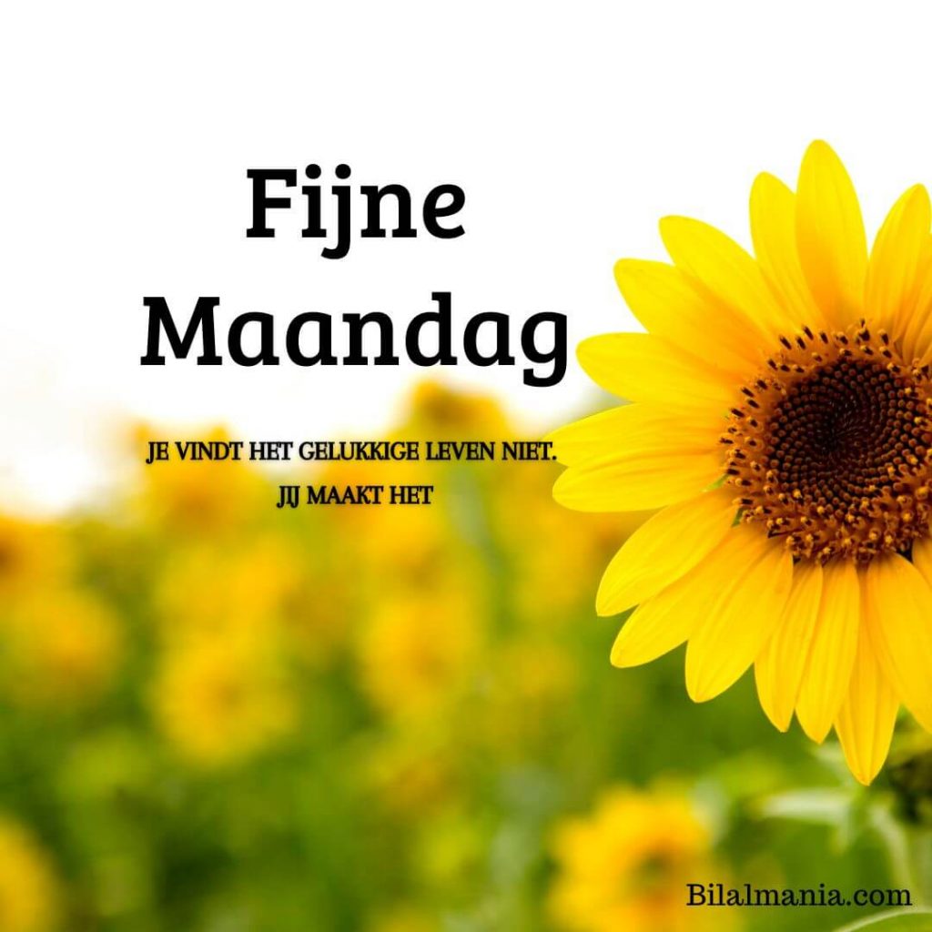 🔥50+ Fijne Maandag Nieuwe Week en Wensen Fijne Maandag Bloemen